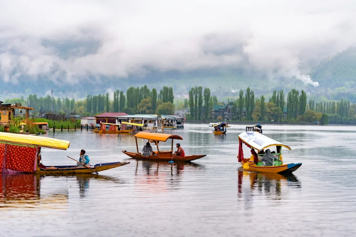 kashmeer