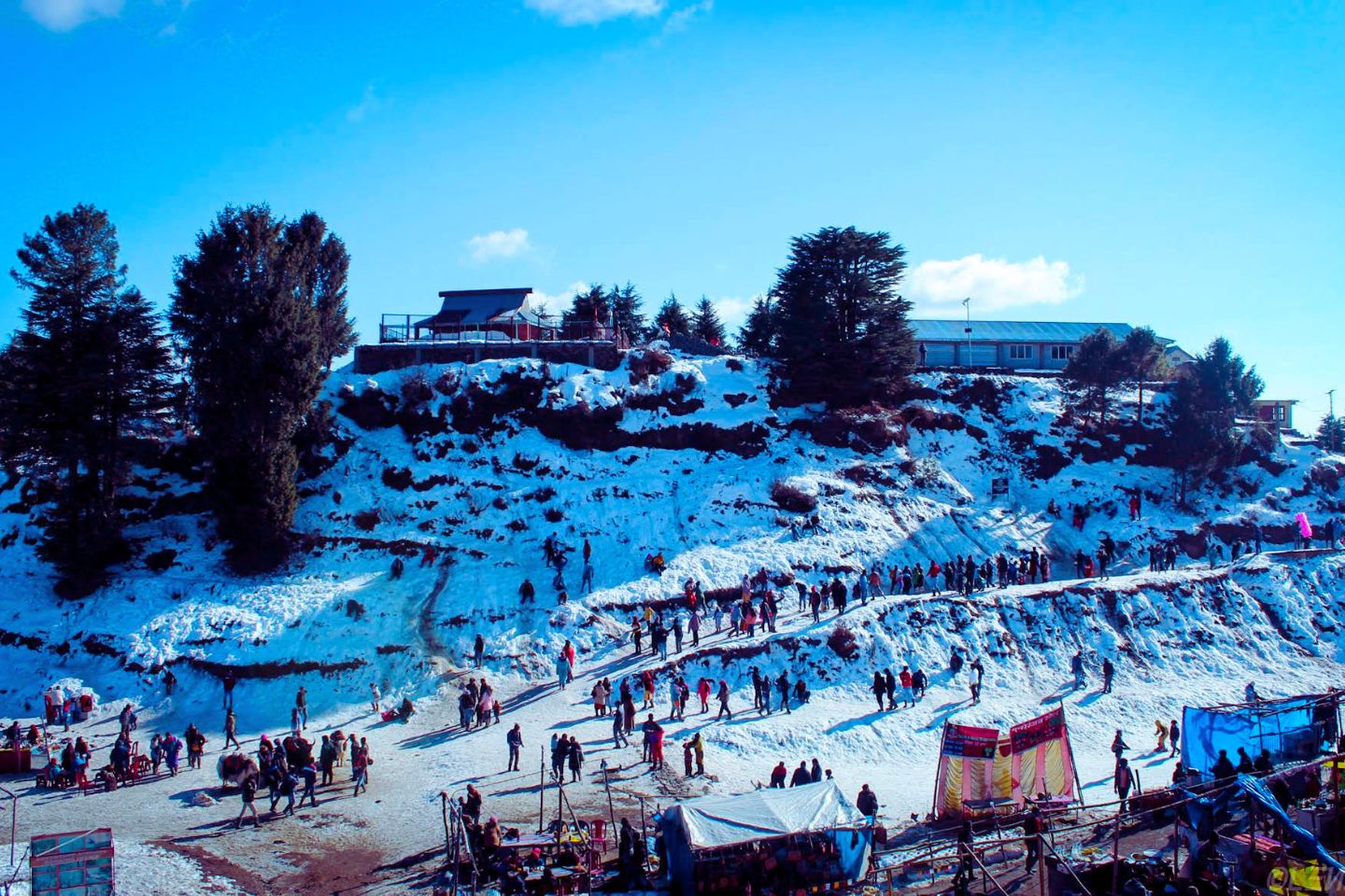 Shimla Kufri Volvo